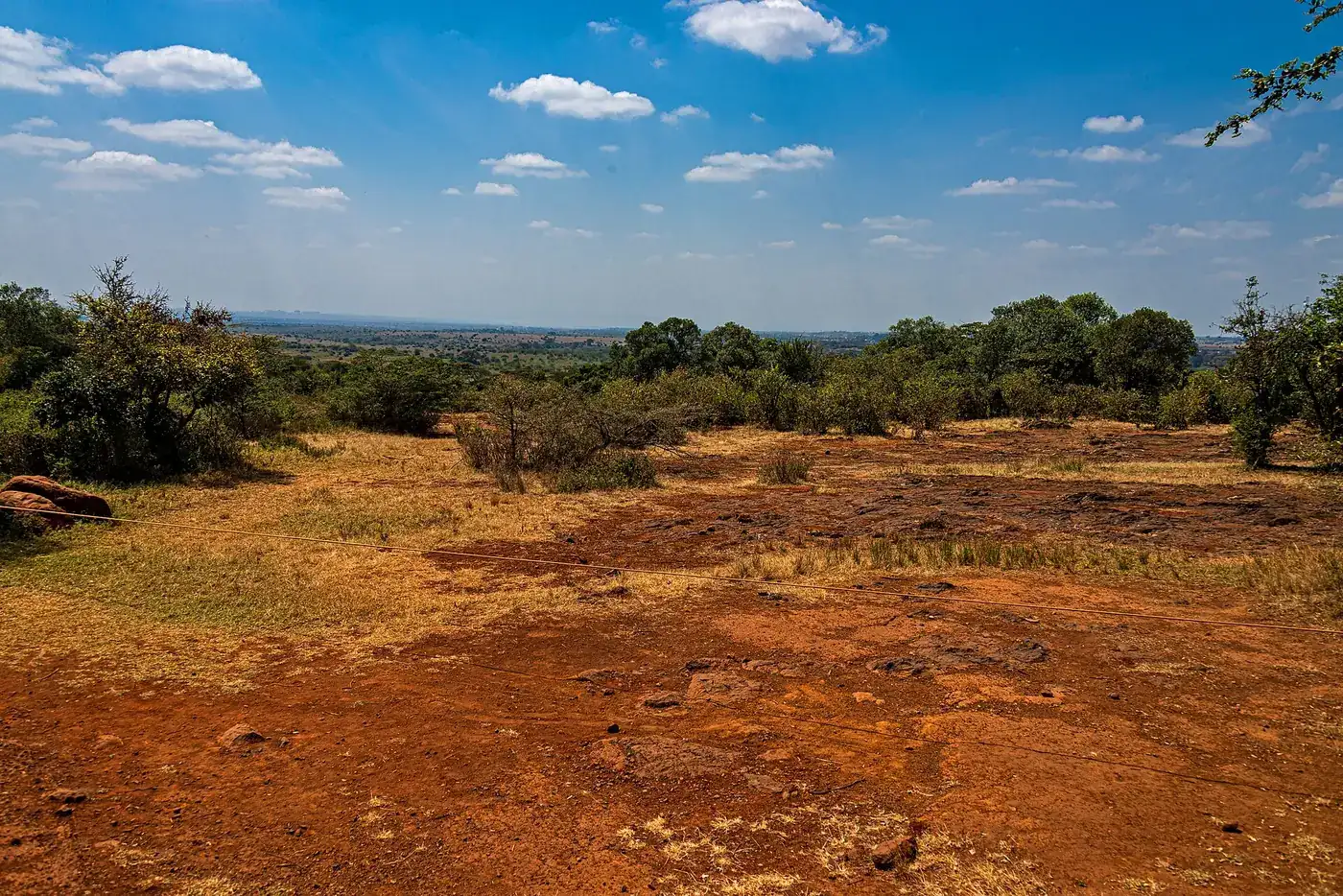 Woodland and grass along the Lang'ata side of Nairobi National Park, leopard country more than open plain