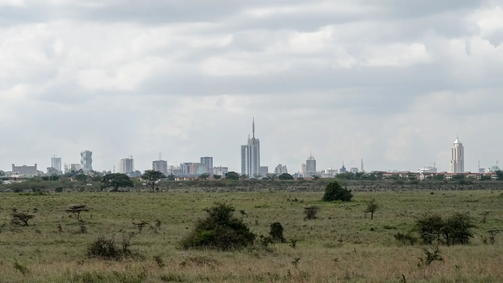 Savannah and sky in Nairobi National Park, open country used by ostrich and grassland birds