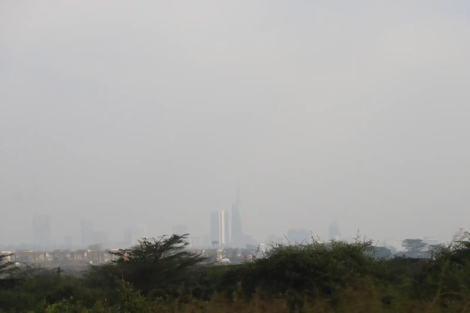 Open grass in Nairobi National Park with the Nairobi skyline behind