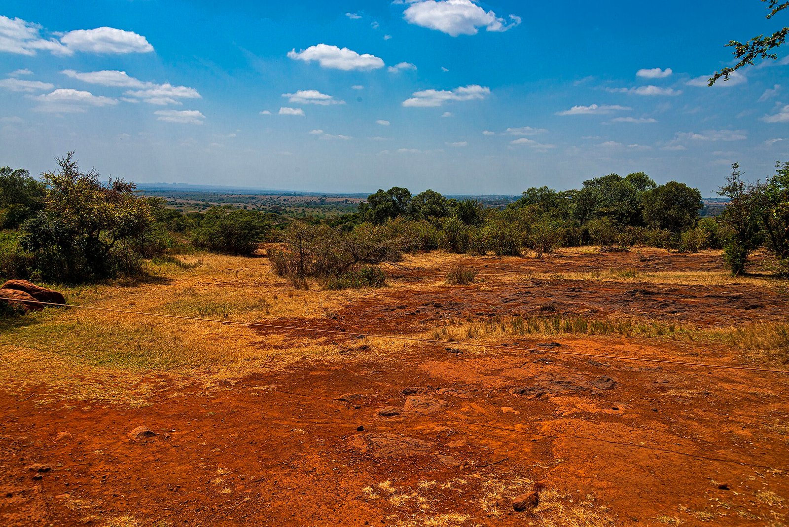 Nairobi National Park grassland from the Langata side