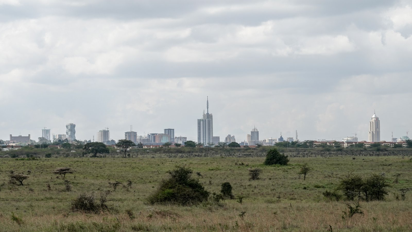 Nairobi skyline from inside Nairobi National Park
