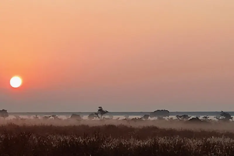 Morning glow over Nairobi National Park. Photo: Ami Gorasia, CC BY-SA 4.0