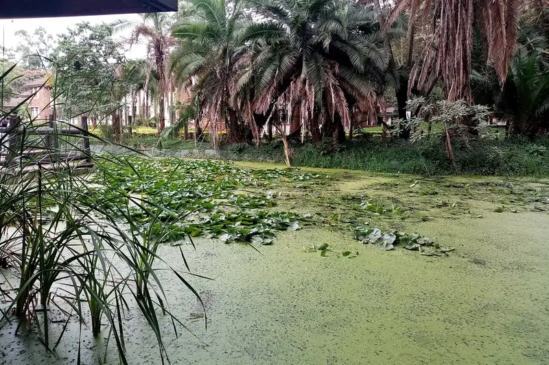 Boardwalk at the Nairobi Safari Walk
