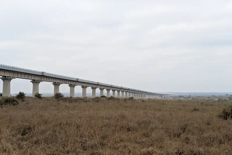 The elevated Standard Gauge Railway bridge crossing Nairobi National Park