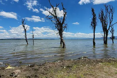 Lake Naivasha. Photo: Kenenock, CC BY-SA 4.0