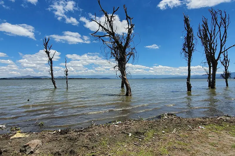 Lake Naivasha